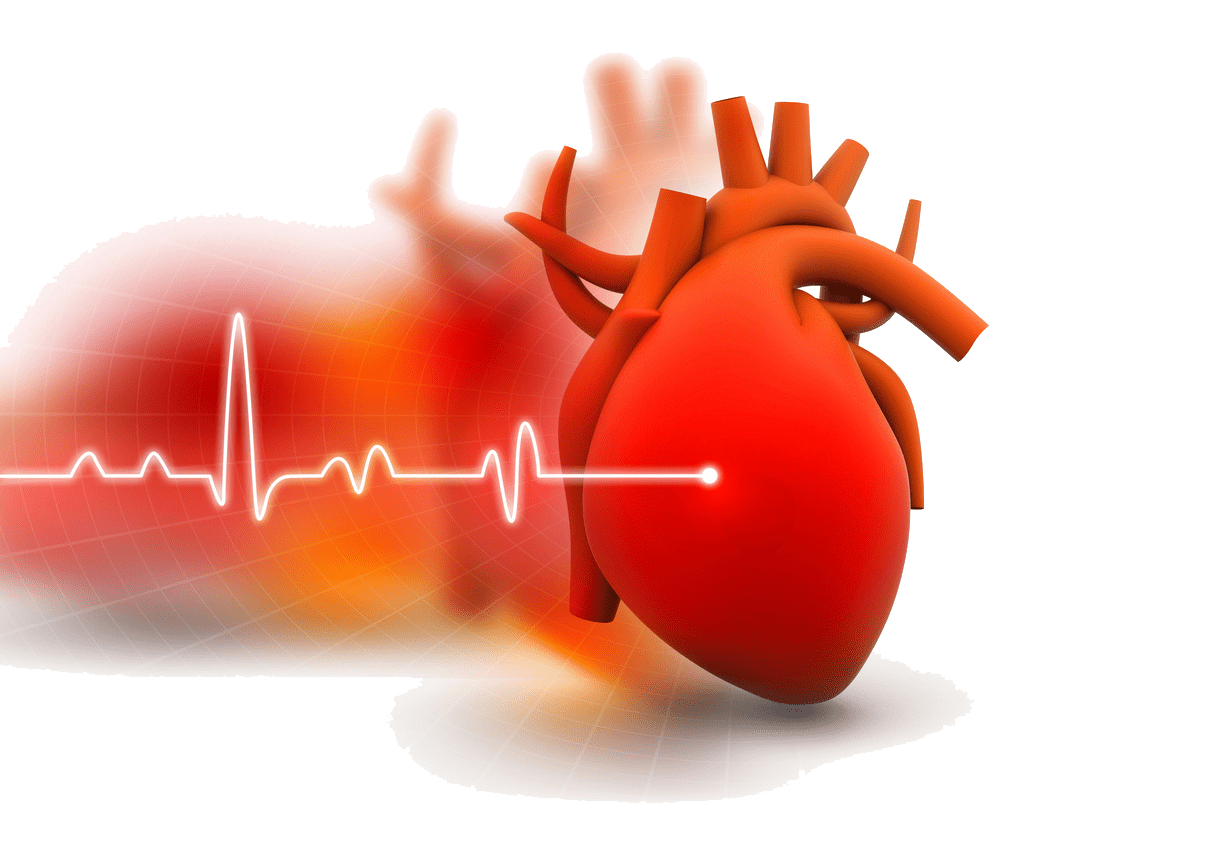 heart